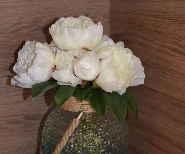 Appartamento Christine *